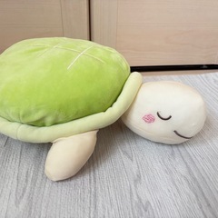 ※捨てるのが可哀想な為無料※🐢の新しいお友達募集 カメ ぬいぐるみ❁¨̮の画像