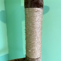 突っ張りキャットタワーの画像