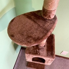 突っ張りキャットタワーの画像