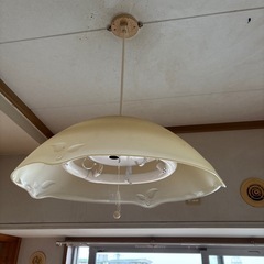 電気傘 蛍光灯 の画像