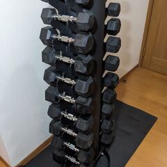 【急募】ヘックスダンベル 1kg-10kgセット 計20本 ＋ラック まとめ売りの画像