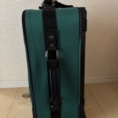 キャリー子供用の画像