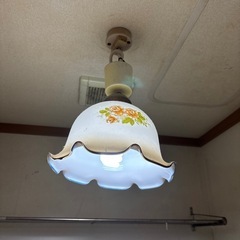 電気傘 蛍光灯 の画像