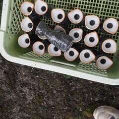 １合徳利、１９個、酒器の画像