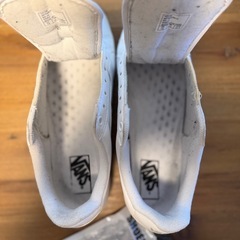 【決定しました】VANSローカットスニーカー（25.5cm）新品紐付きの画像