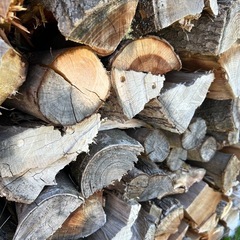 乾燥薪軽トラック一台　キャンプ　薪ストーブの画像