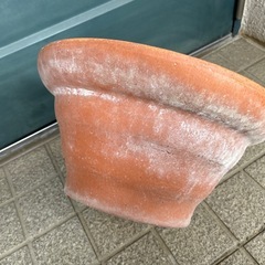 大型素焼きポットの画像