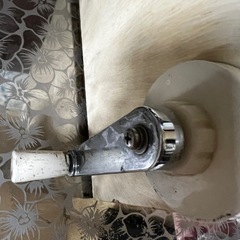 かつらむきピールの画像