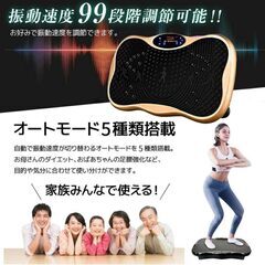 3D振動 5種類のプログラムモード振動マシン色々おまけ付 99段階調整 室内運動器具 ぶるぶるマシン （リモコン無し）除菌清掃/動作確認済みの画像