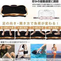 3D振動 5種類のプログラムモード振動マシン色々おまけ付 99段階調整 室内運動器具 ぶるぶるマシン （リモコン無し）除菌清掃/動作確認済みの画像