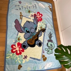 ジュニア用毛布2枚／マリー、スティッチ の画像