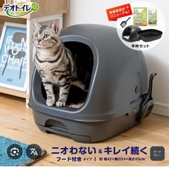 キャットタワー、猫トイレ2個セットの画像