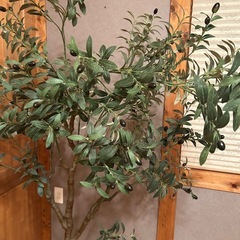 オリーブのフェイクの木　観葉植物　の画像