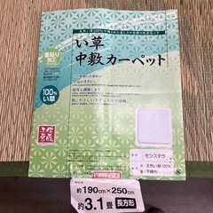 い草ラグ　約3.1帖　の画像