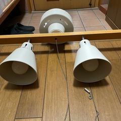 ライト（訳アリ）の画像