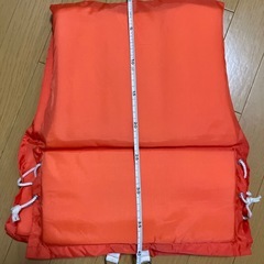 ライフベスト、フローベストの画像