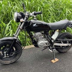 ホンダ エイプ50 ape50　キャブ車の画像
