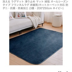冬用カーペット【クリーニング済】の画像