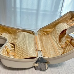 ノリッコの画像