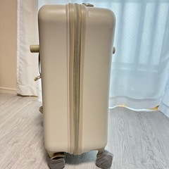 ノリッコの画像