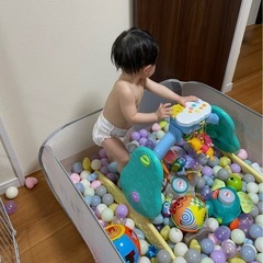ボールプール　の画像