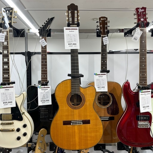 Stanfordのギターをご紹介します！