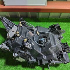 日産 NISSAN エルグランド PE52 ヘッドライト 右の画像