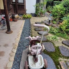  三輪車 iimoの画像