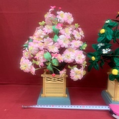 倉庫整理品　桜橘の画像