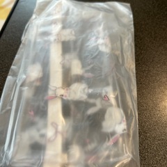 新品未使用　ペンケース　ウサギ柄🐇の画像