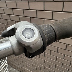 受付終了ブリヂストン　アルベルト　ブラウンの画像