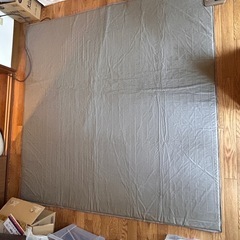 ホットカーペットの画像