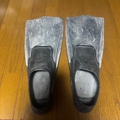 フィンの画像