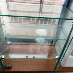 ショーケース　コレクションケース
の画像