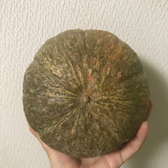 カボチャ一個の画像
