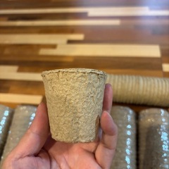 🌺新品未使用　苗用カップ　苗ポット　多肉植物や観葉植物などの画像