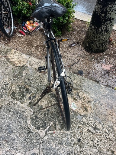 自転車