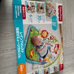 ベビージム フィッシャープライスの画像