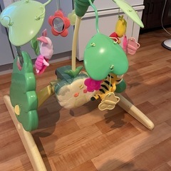 プーメリー　旧式の画像