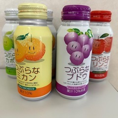 つぶらなシリーズ6本セットの画像