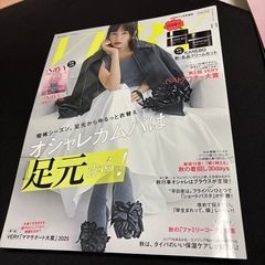 VERY2025年11月号増刊（雑誌のみ 別冊付録付き）の画像