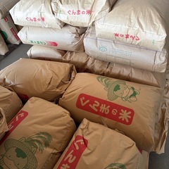 令和7年新米こしひかり 30kg 玄米の画像