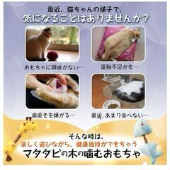 猫用おもちゃ　きりんの画像