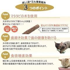 猫用おもちゃ　きりんの画像
