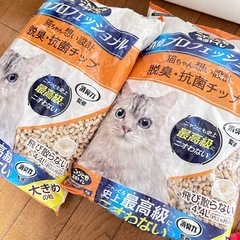 猫トイレセットの画像