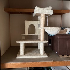 キャットタワーの画像