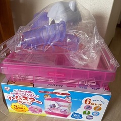 今月購入 3階建て ハムスターケージ 
アイリスオーヤマの画像