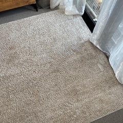 NITORI  アクセントラグ Sシャギー  約160cm×230cm 大判の画像