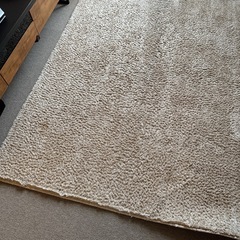 NITORI  アクセントラグ Sシャギー  約160cm×230cm 大判の画像