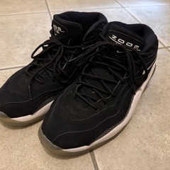 NIKE ズームフライト96 26.5 の画像